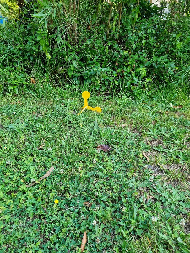 Shooting FLIP TARGET Walking Target